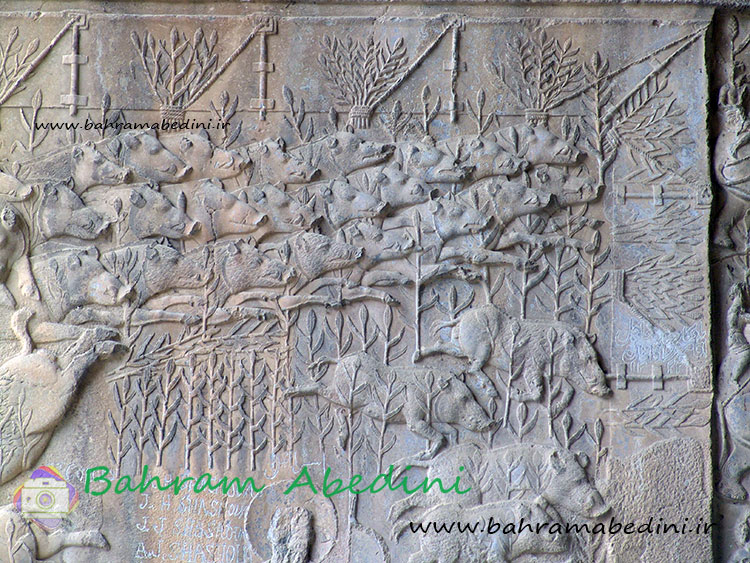 سنگ تراشه ای از شکار گراز در طاق بستان