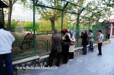 جهانگردى انبوه و جهانگردى اجتماعى