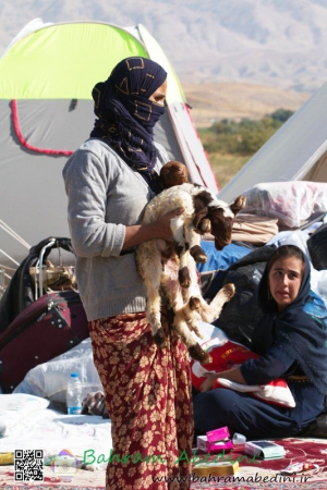 kermanshah earthquake survivors ladies