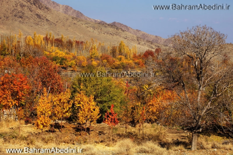 Iran, Alborz