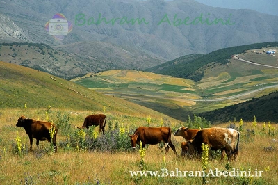رابطه گردشگری و اقتصاد