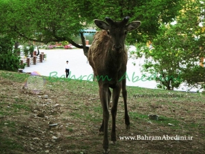 آثار گردشگری