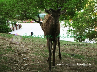 آثار گردشگری