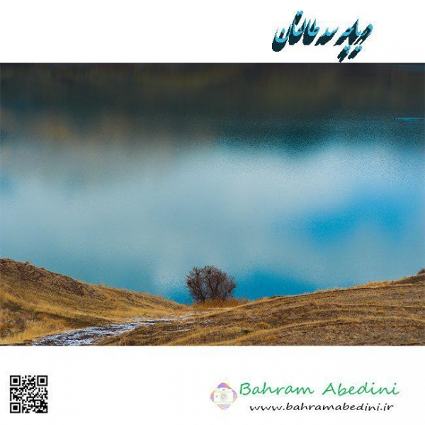 sade taleghan