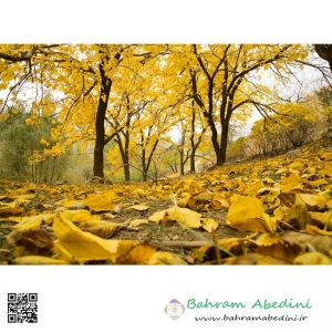 Autumn days around Aghasht Baraghan