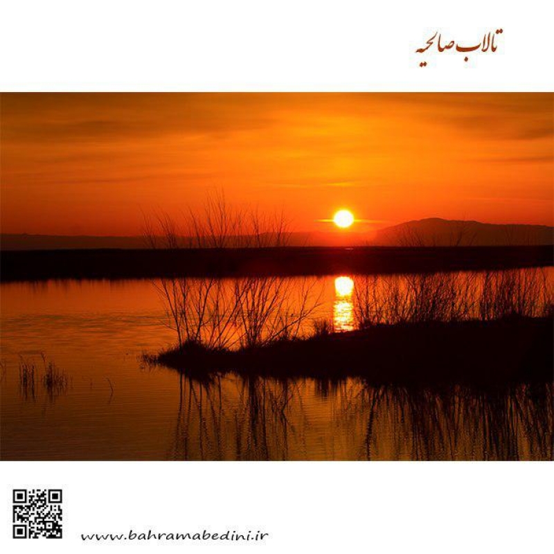 Salihiyeh wetland silhouette
