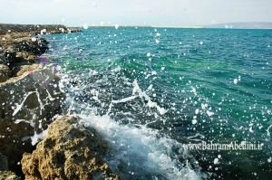 اکوتوریسم (Ecotourism