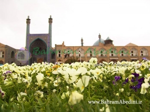 دولت، گردشگری و محیط زیست