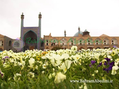 دولت، گردشگری و محیط زیست