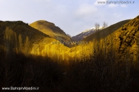 Autumn in karaj