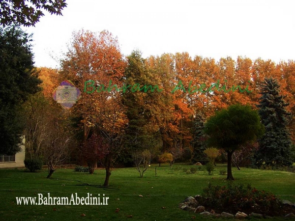 نقش گردشگری فرهنگی در کارآفرینی