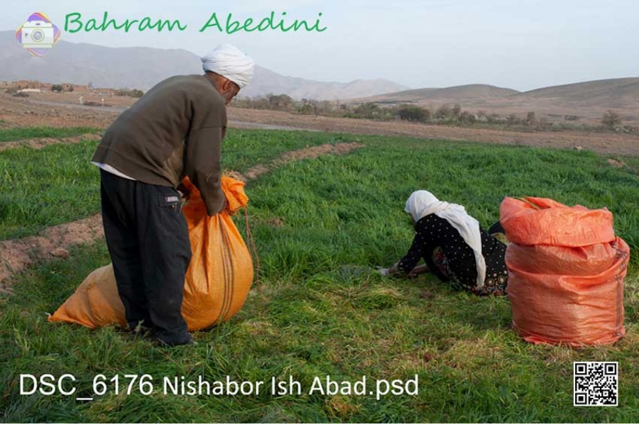 Eyshabad village, Nishapur, Khorasan
