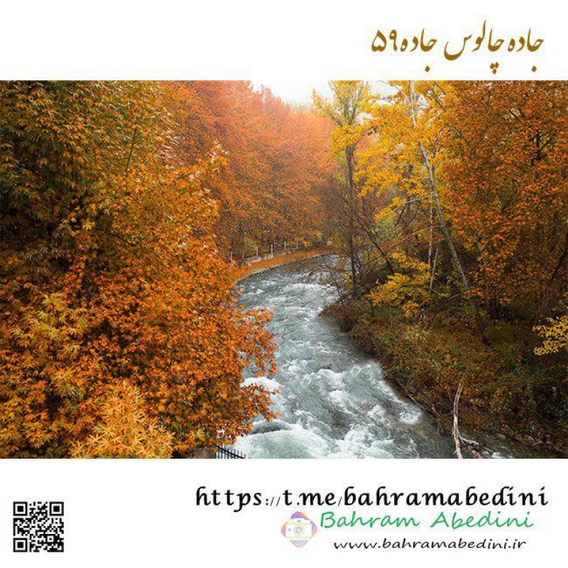 Scenic road 59 (Chaloos road) in Autumn