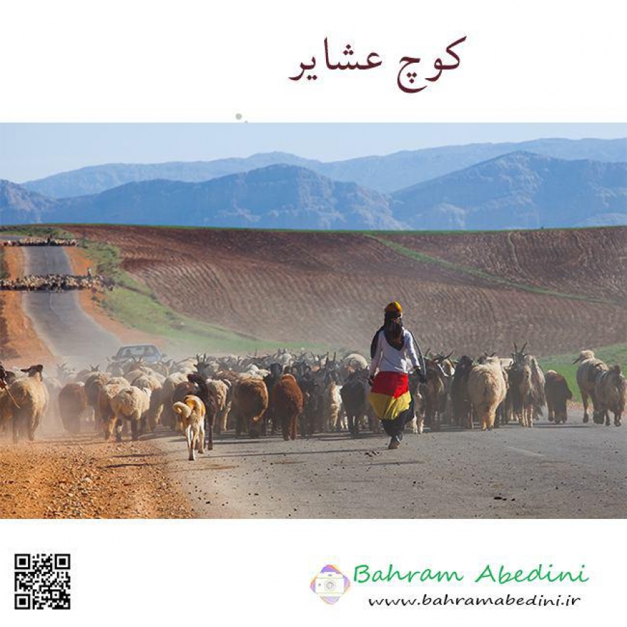 کوچ عشایر بختیاری