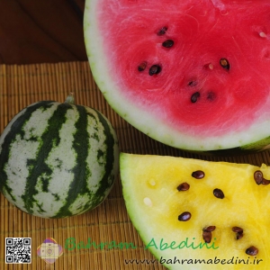 Yellow and Red watermelons