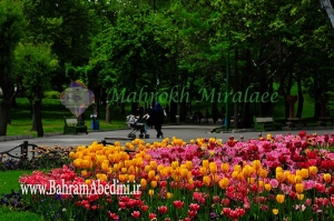 تاریخچه گردشگری