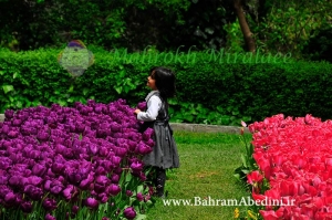 گردشگری تفریحی