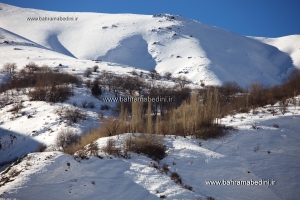 گردشگری و انواع آن