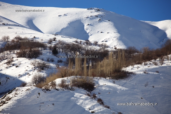 گردشگری و انواع آن