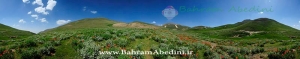 کوه سهند